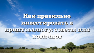 Как правильно инвестировать в криптовалюту: советы для новичков