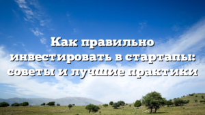 Как правильно инвестировать в стартапы: советы и лучшие практики