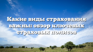 Какие виды страхования важны: обзор ключевых страховых полисов