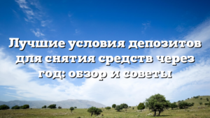 Лучшие условия депозитов для снятия средств через год: обзор и советы