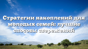 Стратегии накоплений для молодых семей: лучшие способы сбережений