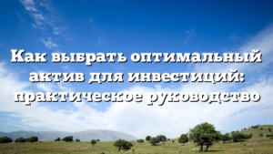 Как выбрать оптимальный актив для инвестиций: практическое руководство
