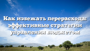 Как избежать перерасхода: эффективные стратегии управления бюджетом