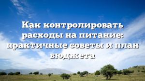 Как контролировать расходы на питание: практичные советы и план бюджета