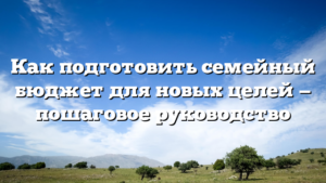 Как подготовить семейный бюджет для новых целей — пошаговое руководство