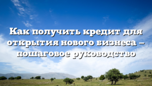 Как получить кредит для открытия нового бизнеса — пошаговое руководство