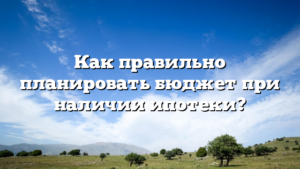 Как правильно планировать бюджет при наличии ипотеки?