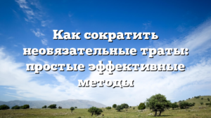 Как сократить необязательные траты: простые эффективные методы