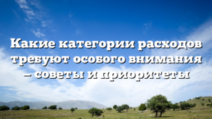 Какие категории расходов требуют особого внимания — советы и приоритеты