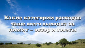 Какие категории расходов чаще всего выходят за лимит — обзор и советы