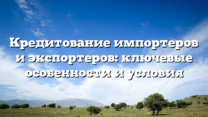 Кредитование импортеров и экспортеров: ключевые особенности и условия