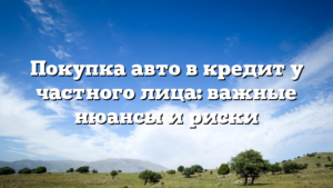 Покупка авто в кредит у частного лица: важные нюансы и риски