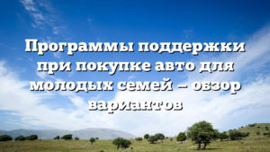 Программы поддержки при покупке авто для молодых семей — обзор вариантов