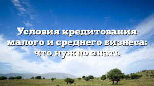 Условия кредитования малого и среднего бизнеса: что нужно знать